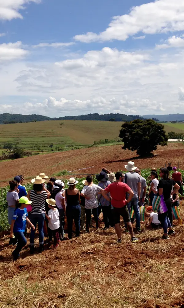 Carrossel site Plantô Orgânicos (3)