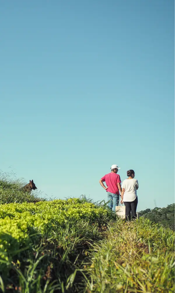 Carrossel site Plantô Orgânicos
